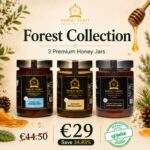 Forest Collection
